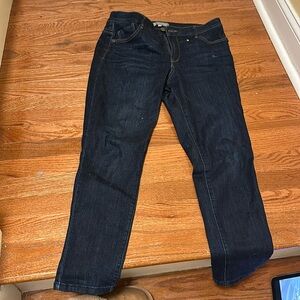 Wit and Wisdom Ab Solution Ankle Skinny Jeans